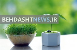  سفره هفت سین با سبزه زیباست 