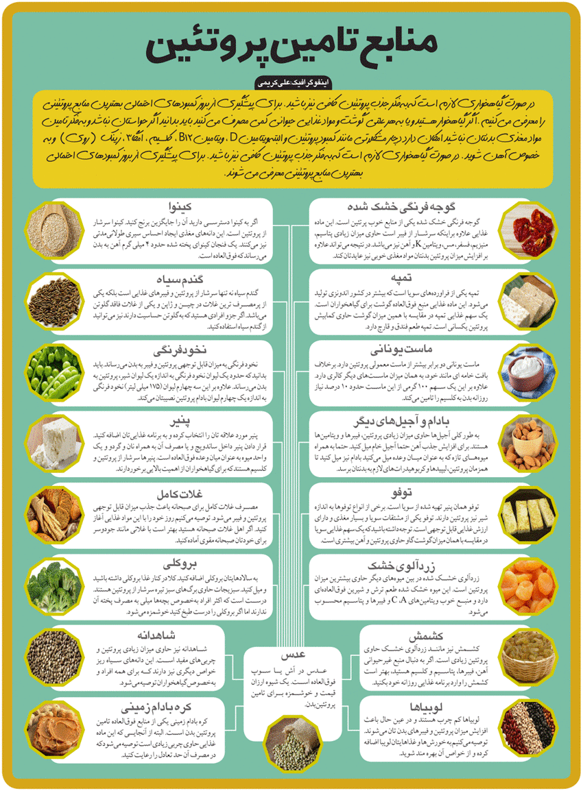 اینفوگرافیک/ منابع تامین پروتئین برای گیاهخواران