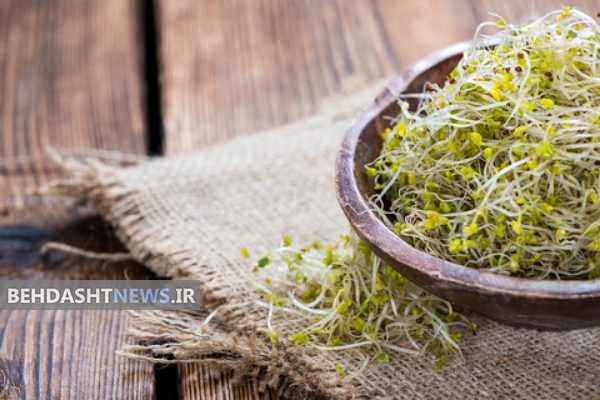 خاصیت جوانه کلم بروکلی در کاهش وزن