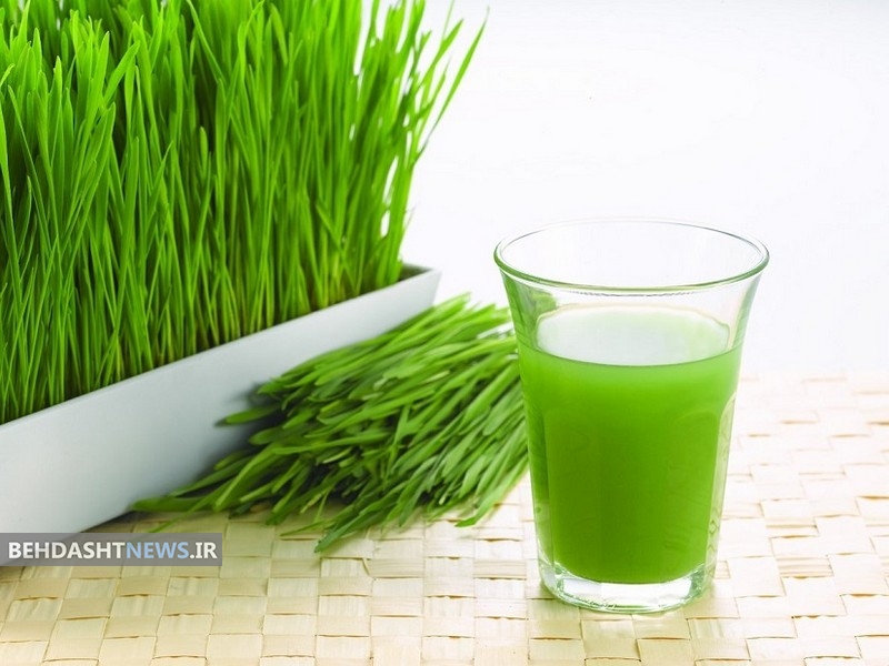  آب سبزه گندم برای کاهش وزن و درمان اگزما 