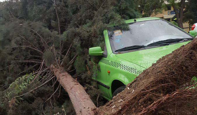 سقوط درخت روی خودرو بر اثر طوفان شدید تهران + عکس