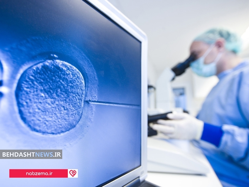 IVF چیست 