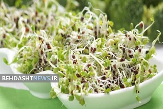  خاصیت جوانه کلم بروکلی در کاهش وزن 