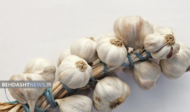  خواص ضد سرطانی عصاره سیر خشک شده 