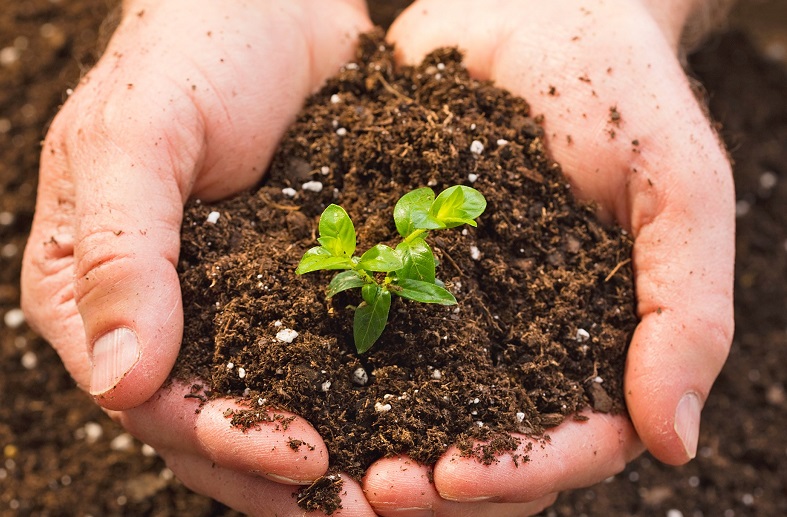  واکسنی برای افسردگی و استرس 