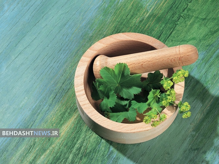 کاهش وزن با گیاهان دارویی (2)