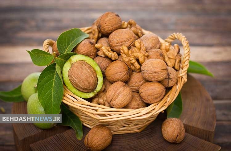  این ماده غذایی را در نوجوانی استفاده کنید تا در دوران پیری کمتر مبتلا به اضطراب شوید