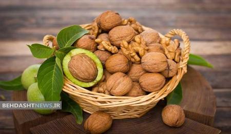  این ماده غذایی را در نوجوانی استفاده کنید تا در دوران پیری کمتر مبتلا به اضطراب شوید