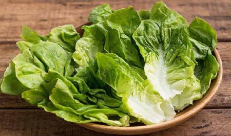  کاهو موثر برای خون‌سازی و ضعف اعصاب