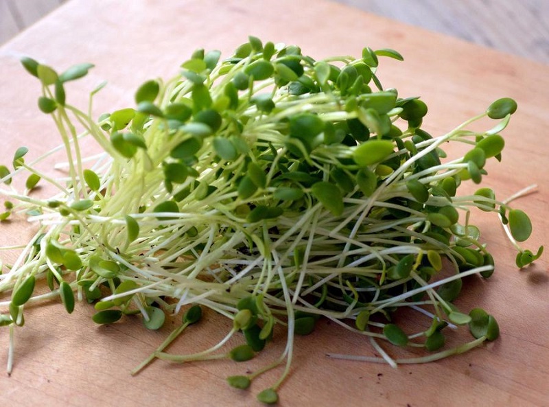  جوانه ای برای کم خونی