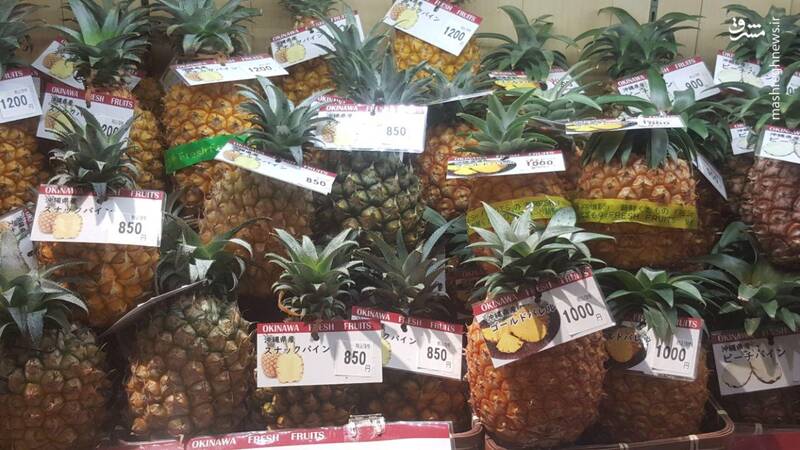 آناناس 100 هزار تومانی ژاپنی! + عکس