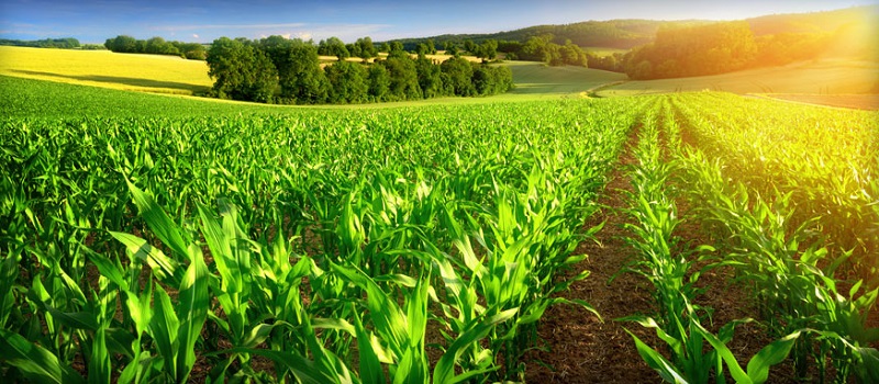 تبدیل تهدید‌های حوزه کشاورزی به فرصت