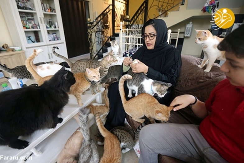 زنی که خانه‌اش پناهگاه گربه‌هاست + عکس