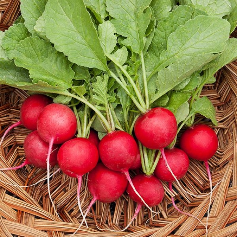 خواص نگین سبزی خوردن 