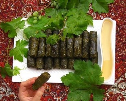 خواص فوق‌العاده برگ مو در درمان بیماری ها