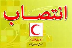 مشاور دبیرکل در امور برنامه، بودجه و مالی منصوب شد