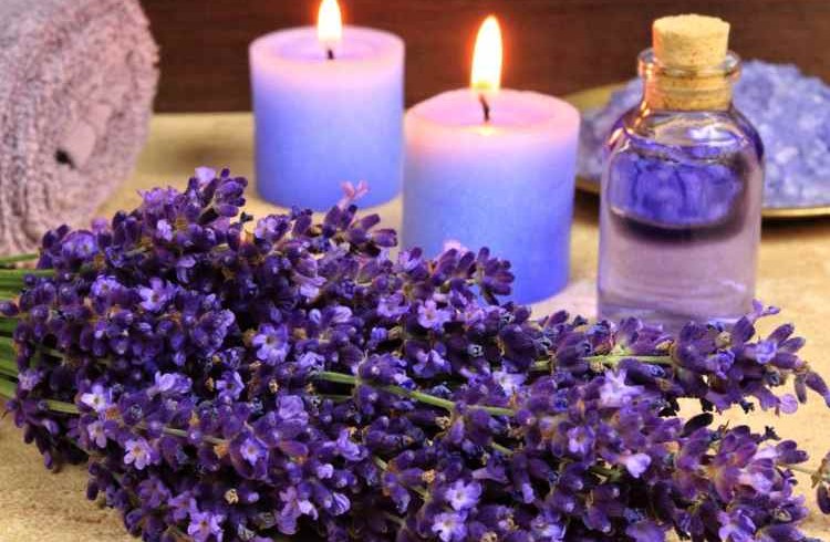 اسطوخودوس؛ گیاهی برای سلامتی و زیبایی