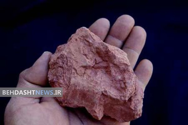 گل سرشوی و خواص درمانی
