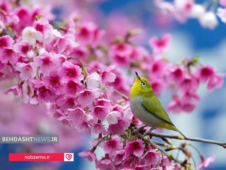 تبریک سال نو با پیام هایی که در خاطره می ماند