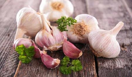 برای کاهش فشارخون بالا سیر بخوریم یا نه