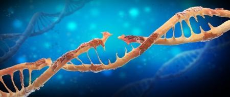 پیشگیری از سرطان پوست با ترمیم سلول‌های آسیب‌دیده DNA