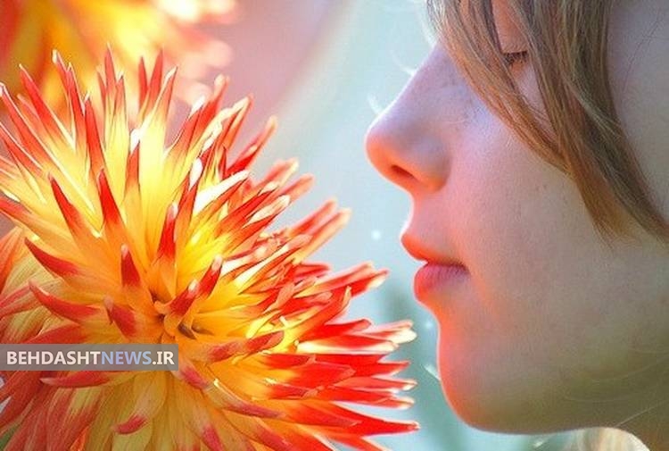 آرو‌ماتراپی (رایحه درمانی) 