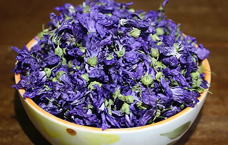 شامپویی طبیعی و جایگزین شامپوهای شیمیایی