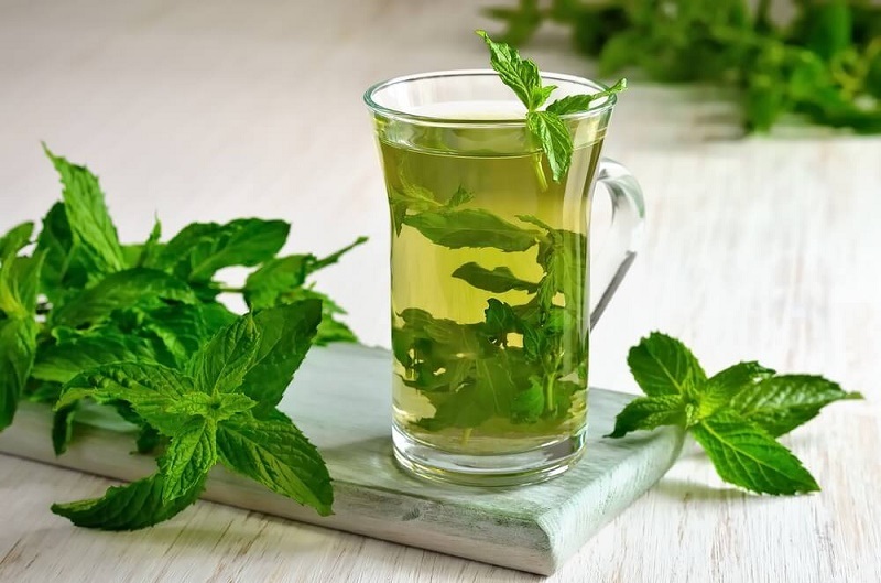 گیاهی که دهان‌تان را خنک می‌کند 