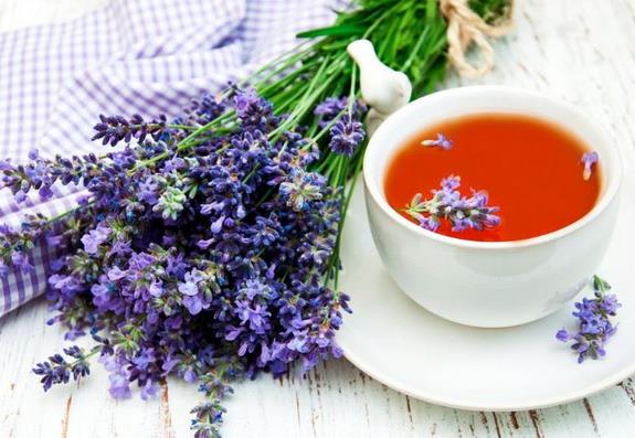  با خواص اسطوخدوس آشنا شوید 