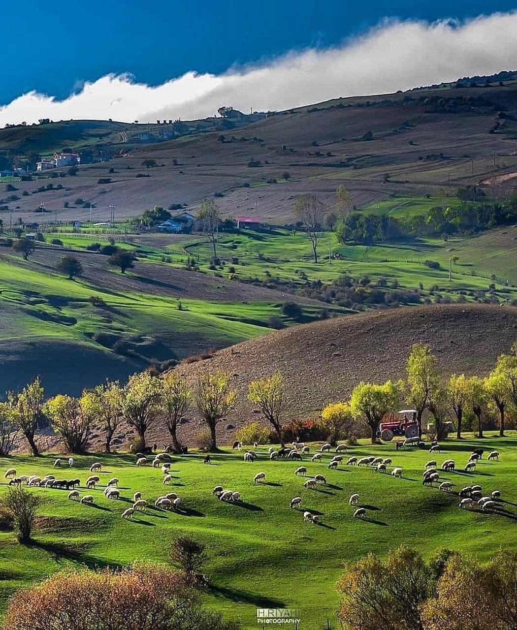 منظره ای باورنکردنی در ایران! + عکس