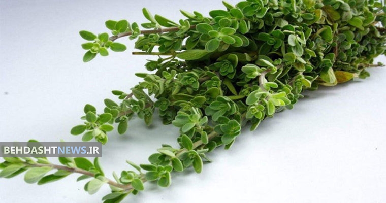 برای برطرف نمودن سنگینی معده از دم کرده مرزنجوش استفاده کنید