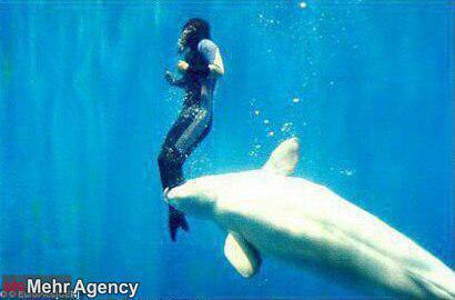 نهنگ بلوگا جان غواص غرق شده ای را نجات داد! +عکس