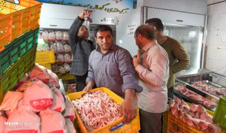 کشف مرغ های فاسد در شهریار + عکس