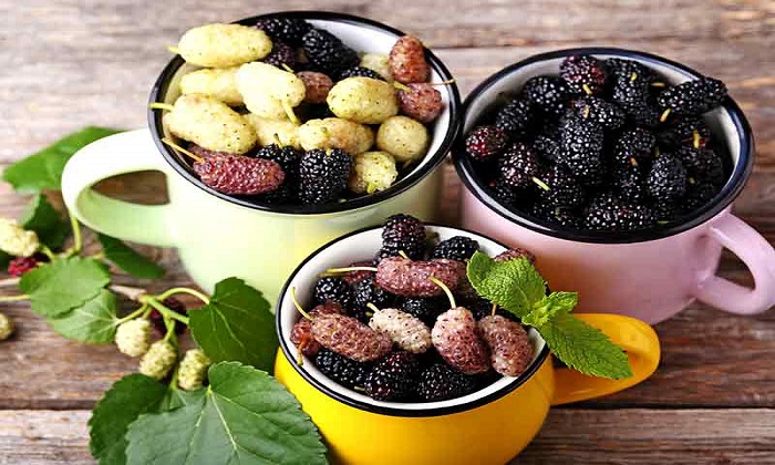 فرمول میوه‌ ای برای مقابله با عوارض درمان سرطان