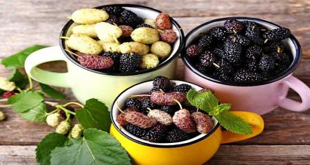 فرمول میوه‌ ای برای مقابله با عوارض درمان سرطان