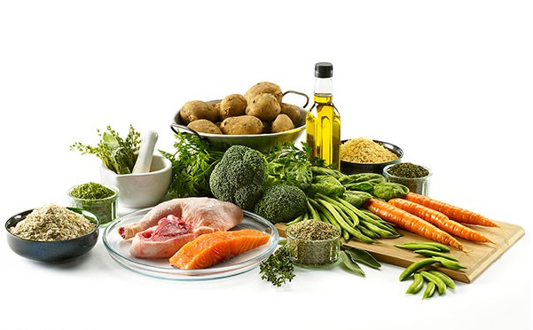 علل ضعف بدن از منظر طب سنتی 