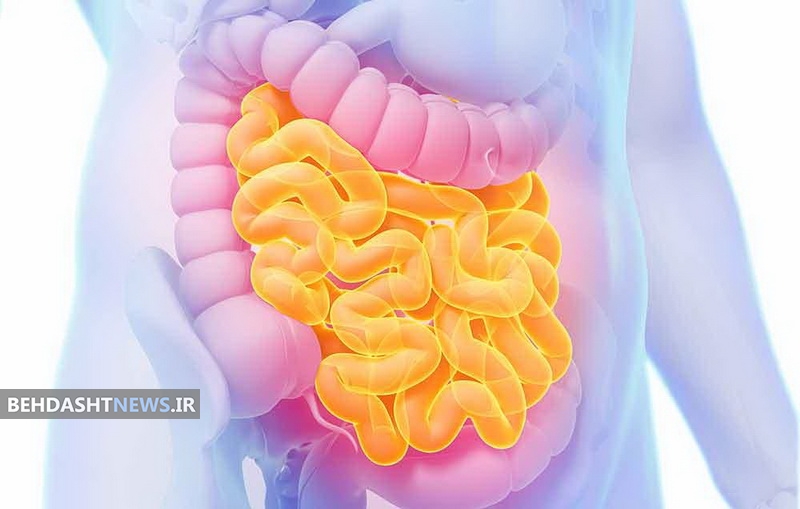 تغذیه مناسب عامل اساسی بهبود اختلالات گوارشی
