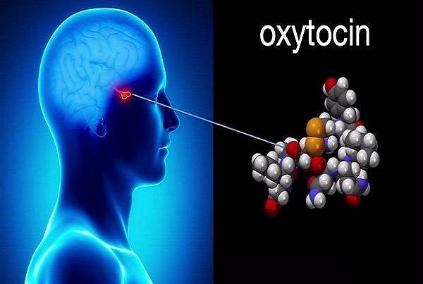 کاهش هورمون عشق موجب کاهش همدلی می شود