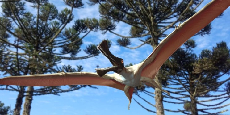 کشف فسیل خزنده پرنده ماقبل تاریخ در استرالیا + عکس 