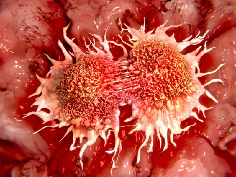سیستم ایمنی، سلول‌های سرطانی مخفی را پیدا می‌کند