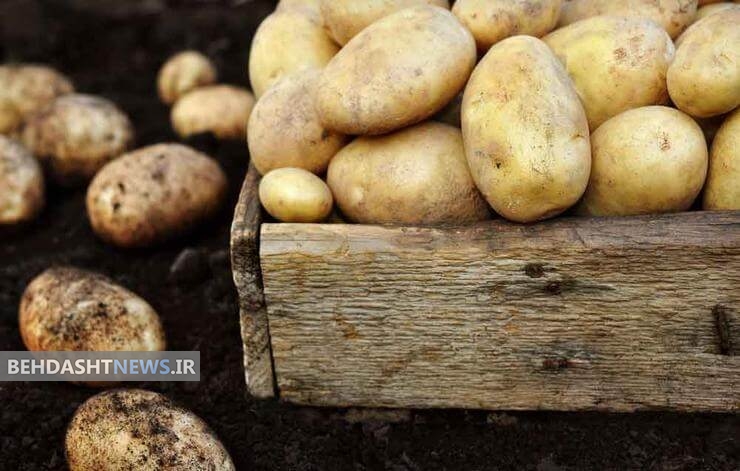 کدام مواد غذایی نباید به صورت خام مصرف شوند؟