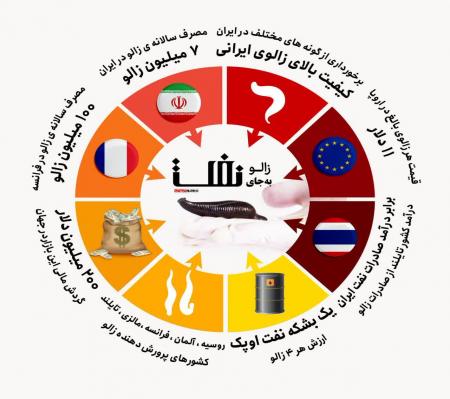 فروش زالو به جای فروش نفت! + عکس