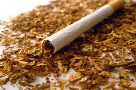 تنباکو عامل ۴۰ درصد سرطان ها در آمریکا