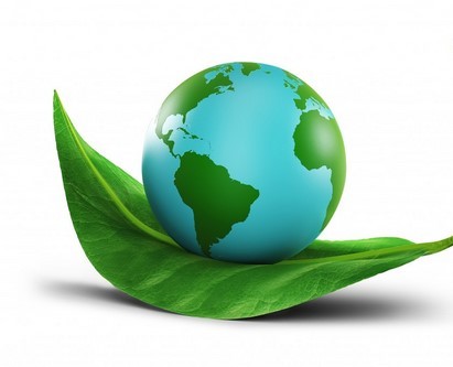 شبکه های اجتماعی و مخاطره زیست محیطی