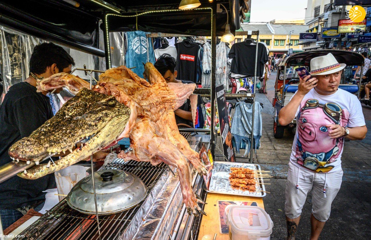 فروش گوشت کباب شده تمساح در خیابان! + عکس