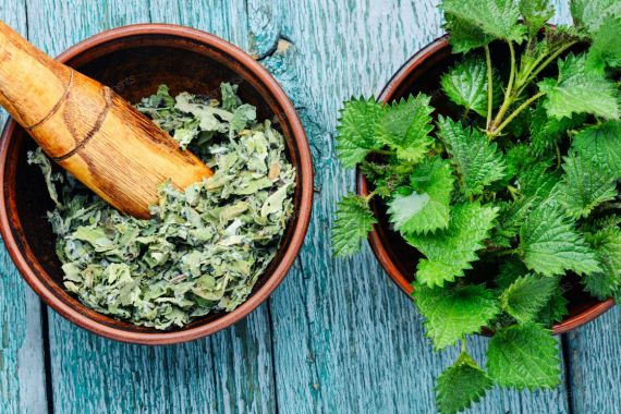 از دفع سنگ کلیه تا رفع جوش و لک پوستی با کمک این گیاه 