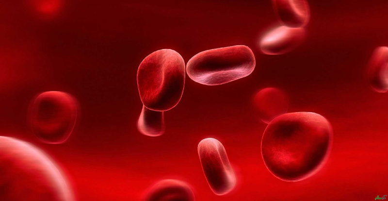کدام بیماری ها از کمبود خون در بدن خبر می دهد؟