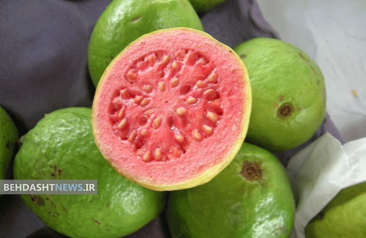 «گواوا» زیتونی به اندازه گلابی + خواص دارویی 