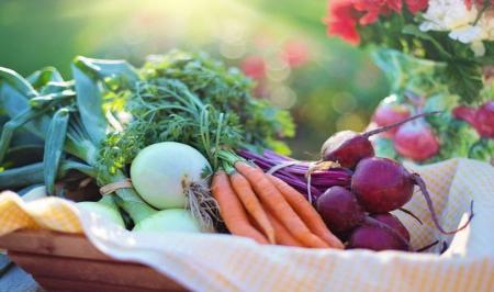 چرا باید غذاهای گوگرددار بخوریم؟