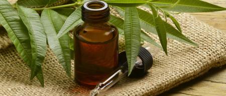 خواص روغن درخت چای برای موی سر